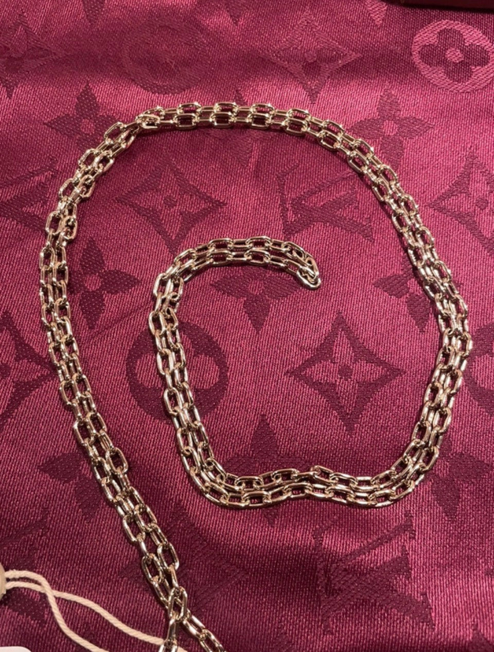 Louis Vuitton Cover