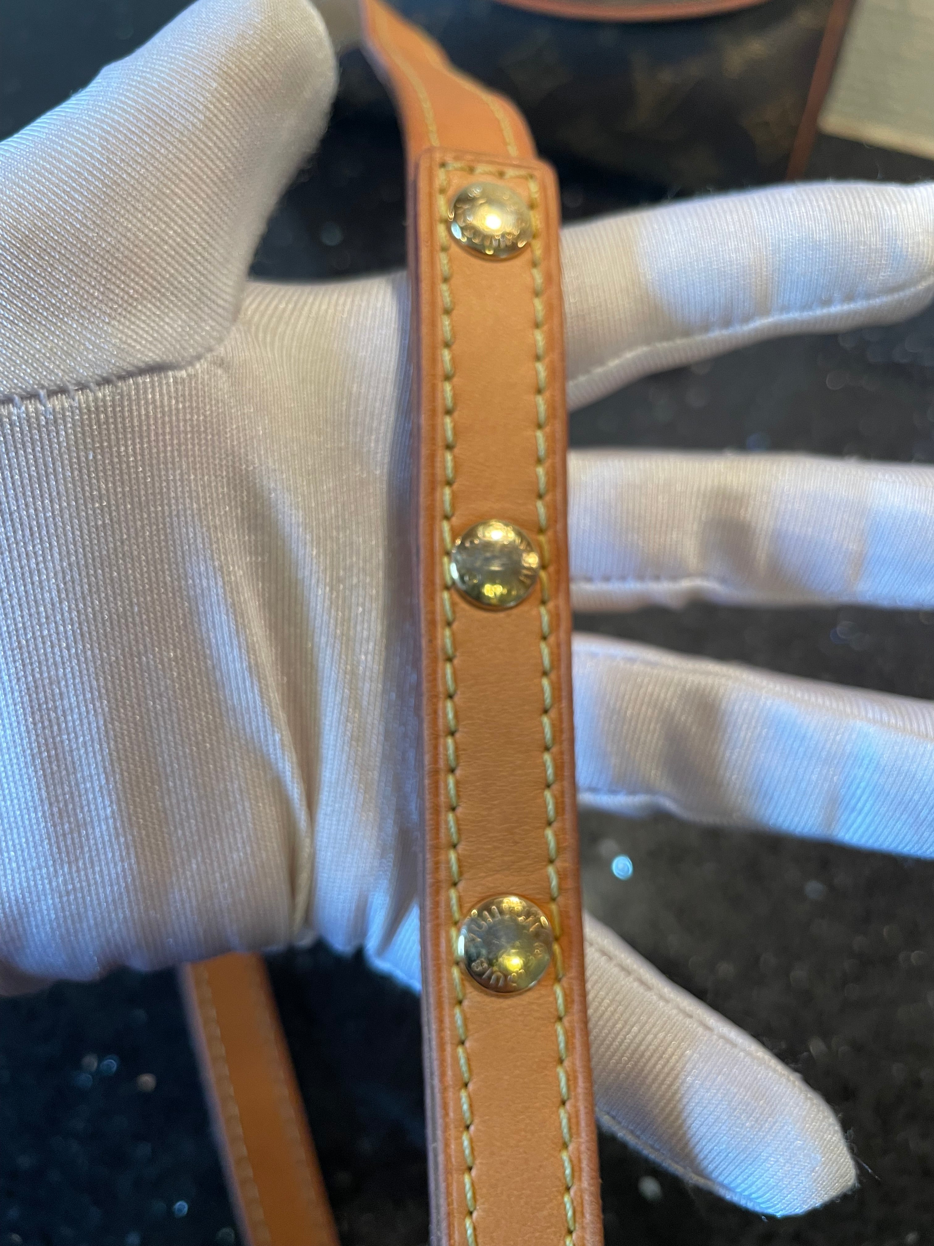 Louis Vuitton Beltbag