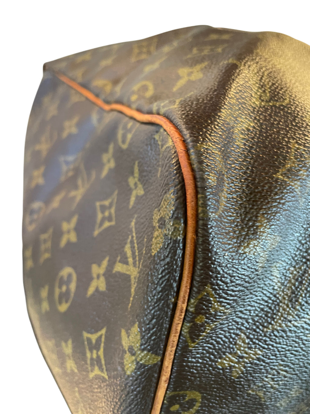 Louis Vuitton Sacs Souple travelbag