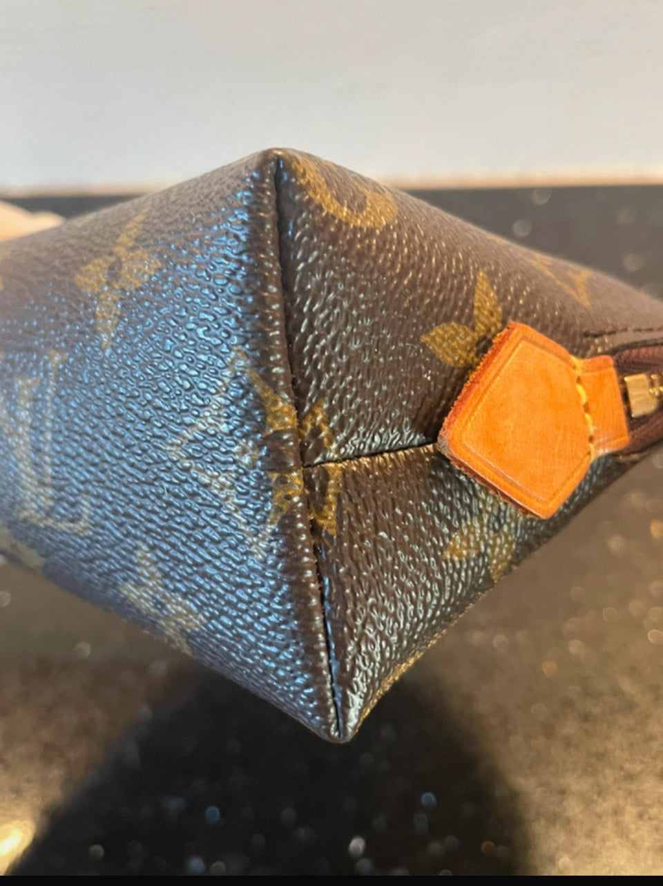 LOUIS VUITTON COSMETIC POUCH PM