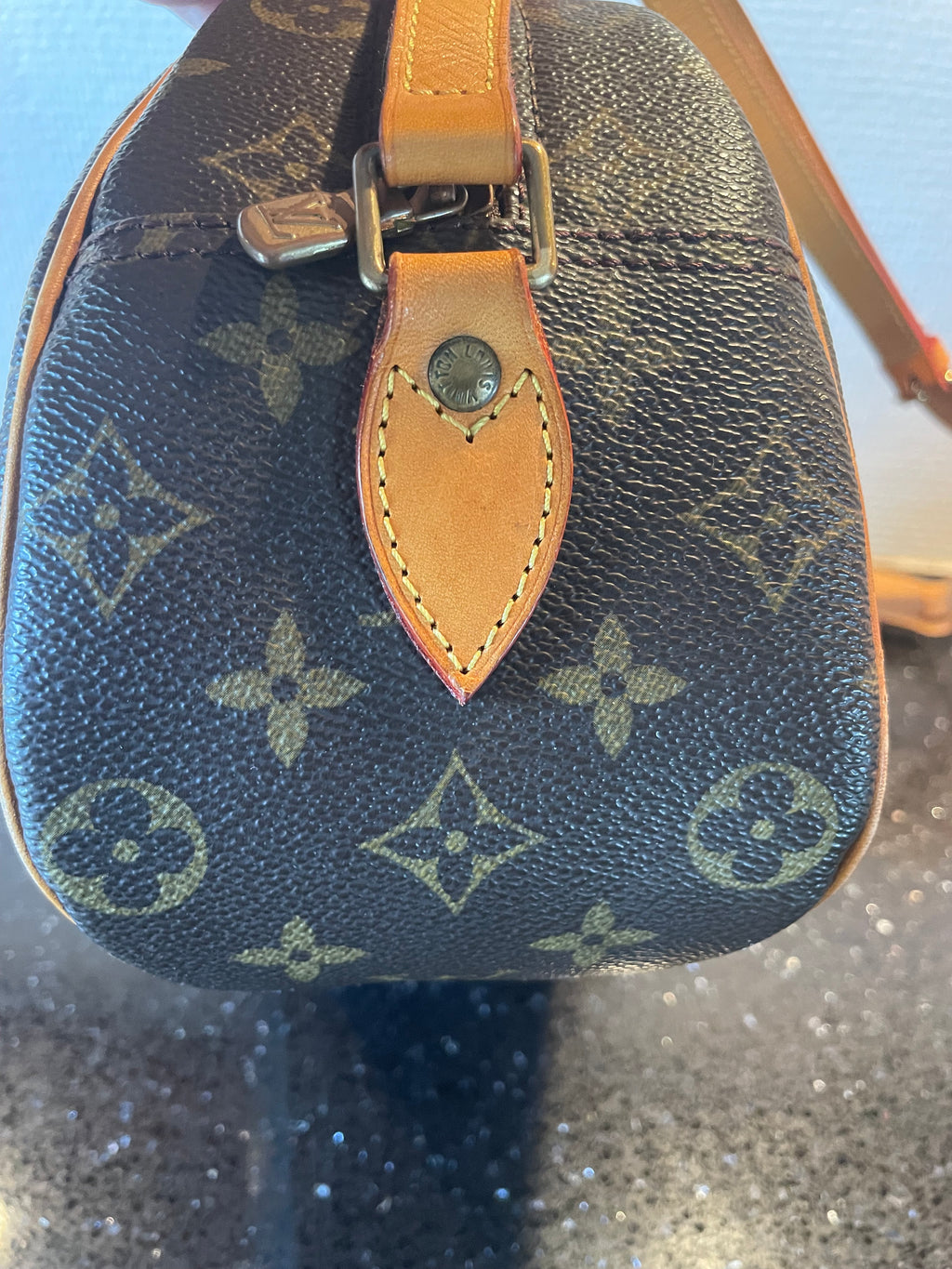Louis Vuitton Blois