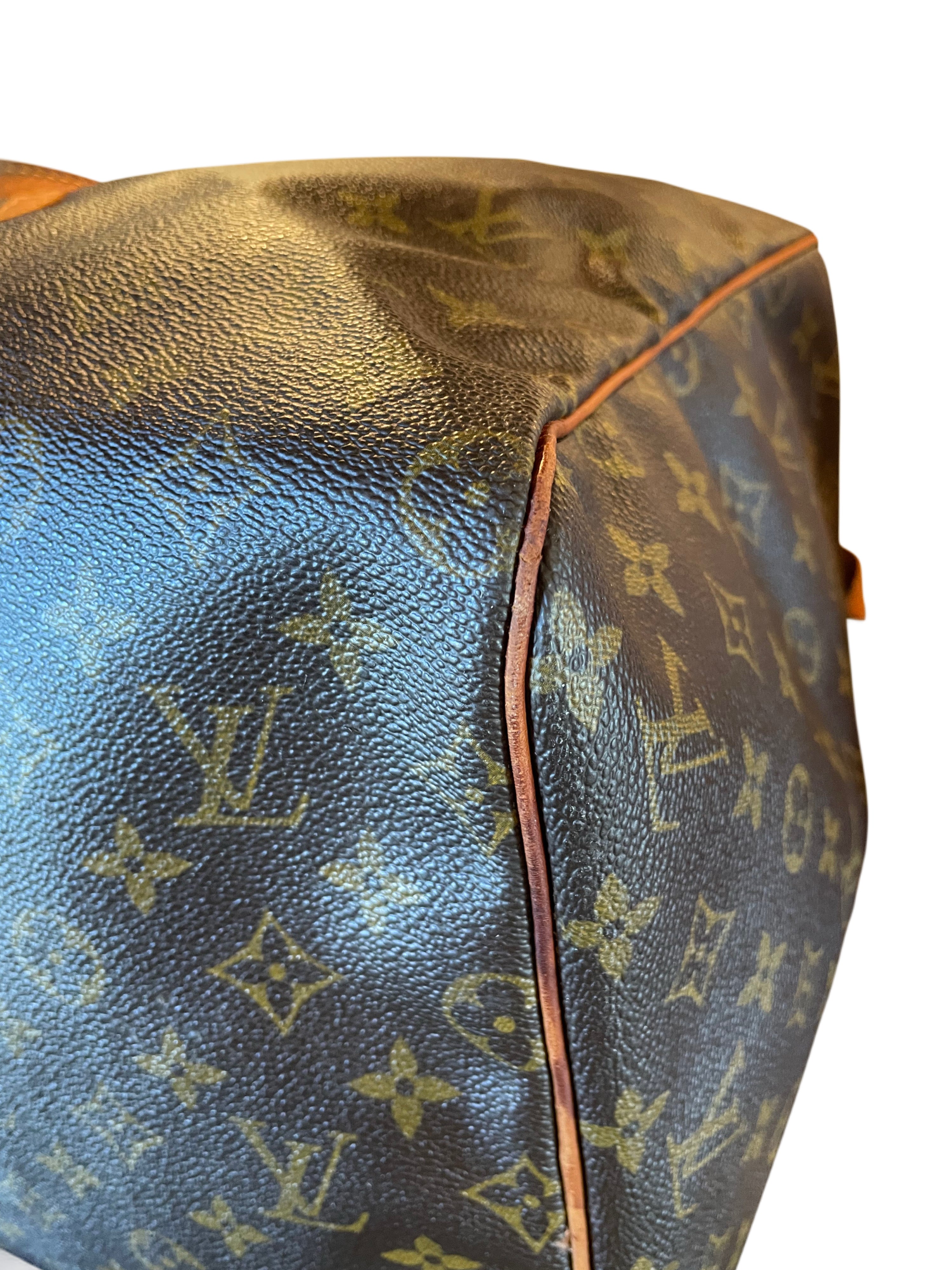 Louis Vuitton Sacs Souple travelbag