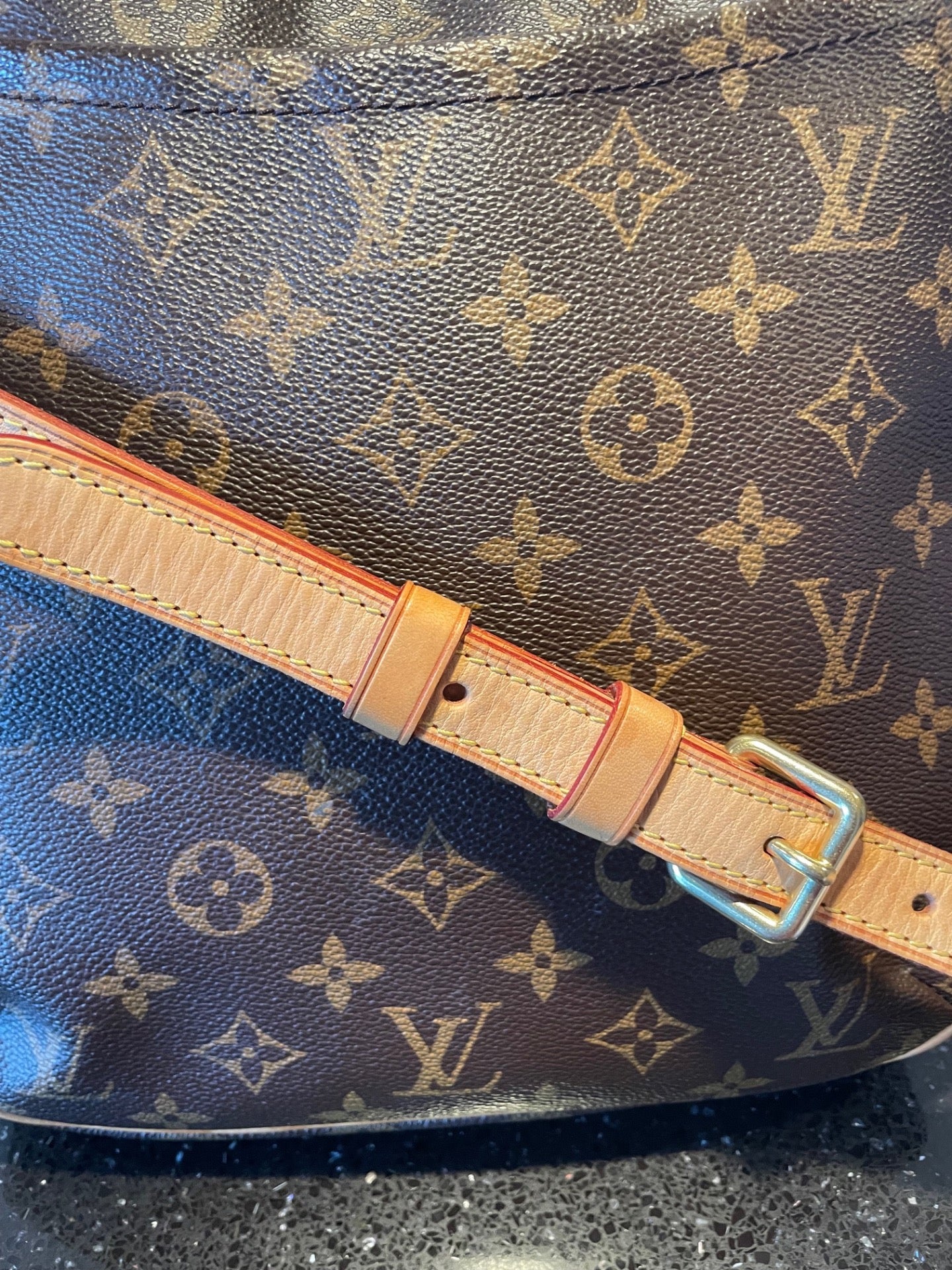 LOUIS VUITTON ODEON CROSSBODY